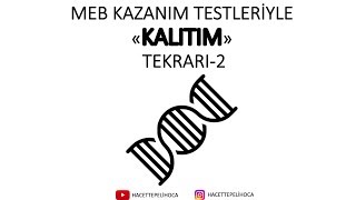 MEB KAZANIM TESTİ İLE KALITIM TEKRARI-2 | 10. SINIF| TYT | #hacettepelihoca