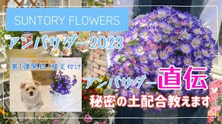 「サントリーフラワーズ アンバサダー2023」新商品のご紹介 アンバサダーBOX開封します