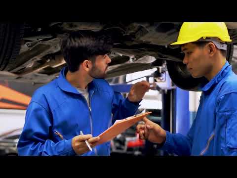 Automotive Longmont