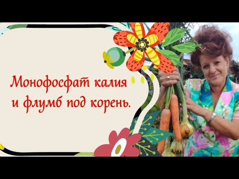 Монофосфат калия и флумб под корень. Монофосфат калия и флумб под корень.