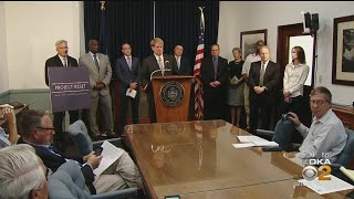 Allegheny County Launches 'Project Reset'