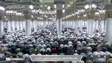 مغرب الثلاثاء|للشيخ #صلاح_البدير 3-11-1444هـ | من سورة فاطر