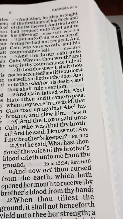 genesis-chapter-4-verse-6-10-bible-biblereading-bibleverses-youtube