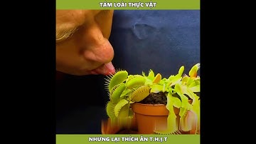 Tám Loài Thực Vật Nhưng Lại Thích Ăn Th.ị.t #xuhuongyoutube #reviewphim #dongvat #viral #phimhay