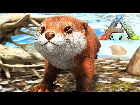funny moments in soccer FINDING OTTERS!! - ARK: SURVIVAL EVOLVED