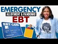 PANDEMIC EBT: MAY EMERGENCY ALLOTMENT + $375 SUMMER EBT, $500 PER MONTH, INCREASED TANF, & MORE!