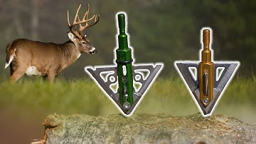 Switching From Mechanical to Fixed Blade Broadheads! What You MUST KNOW!