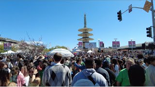 [4K] JAPANTOWN, SAN FRANCISCO, CALIFORNIA during the Cherry Blossom Festival 2024