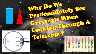 Why Do We Predominately See Greyscale When Looking Through a Telescope?