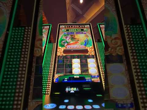 David Gon - El Embrujo - Casino Marina del Sol, Talcahuano- Chile. (En Vivo)