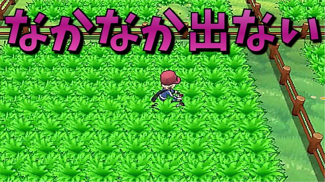 ポケットモンスターｘｙ 色違い 目当ての色違いがなかなか出なくて困った フレンドサファリpart138 Youtube