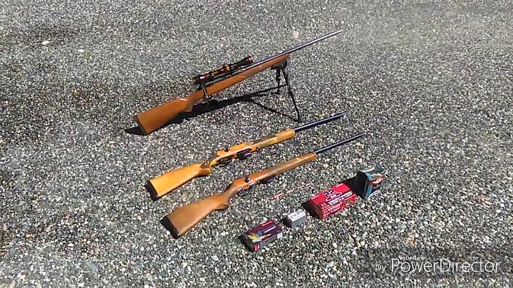 Mobile farm Slaughter best Gun's and Ammunition to...
