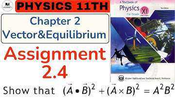 Assignment 2.4 | 1st Year Physics | Vector Addition | Chapter 2 |Vector & Equilibrium #assignmnet2.4