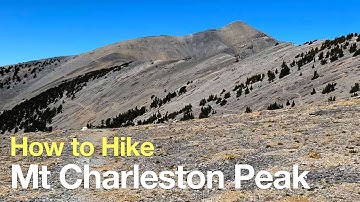 Thumbnail of Mt Charleston Peak Hike – South Loop Trail - HikingGuy.com