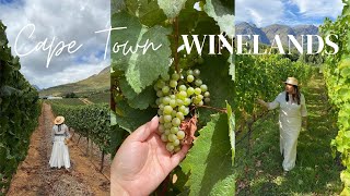 Tour of the South African Winelands (Stellenbosch and Franschhoek)