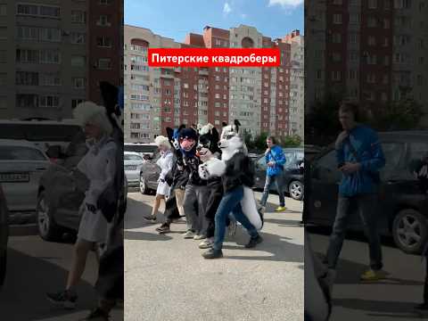 #квадроберы А как Вы относитесь к этому современному течению? #квд #фурри #рек #guadrobics