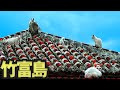 動物系ユーチューバーに転職します!【八重山怪スポ紀行 竹富島】