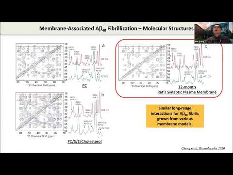 2021-01-21 Emerging MR Webinar: Wei Qiang, Rasmus Linser