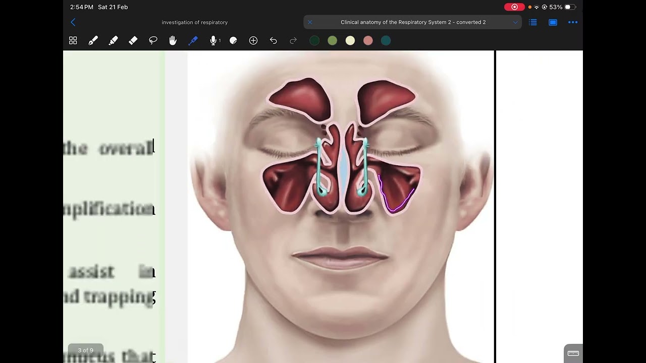 Clinical Antony of respiratory system overviewش رحطبالعربي