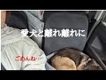 愛犬と離れて過ごす…
