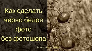 Как сделать черно белое фото и сепию без фотошопа screenshot 3