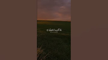 #quran #المصحف #الحناجر_الذهبيه #تلاوة_خاشعة #عبدالرحمن_مسعد #راحة_نفسية #قرآن #قران_كريم #اكسبلور