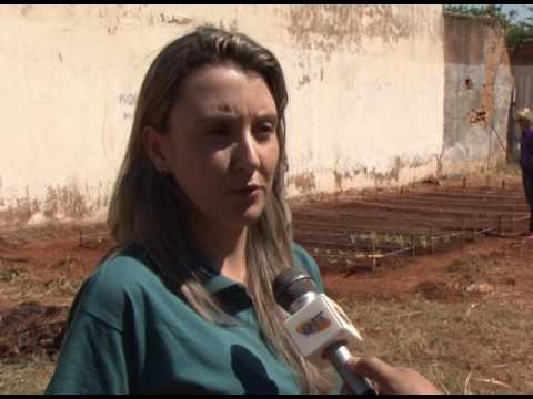 AGROPECUÁRIA LIDERA RANKING DE GERAÇÃO DE EMPREGOS EM GOIÁS