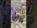 Siz şanslısınız Seneye Ev Alırsınız Shortvideo 