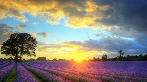 How to play games on MAME on Mac