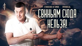 Свиньям здесь не место! | проповедь | Станислав Истомин