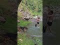 Jungle jungle baat Chali #shorts #funnyvideo #viral #wildlife #travel #water #travel #fun #doglover