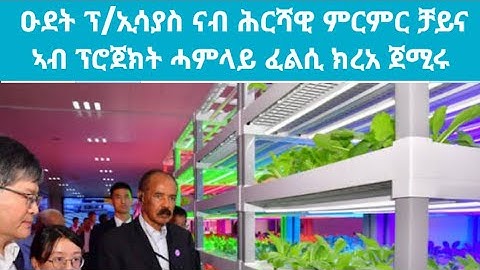 ዑደት ፕ/ኢሳያስ ናብ ሕርሻዊ ምርምር ቻይና ኣብ ፕሮጀክት ሓምላይ ፈልሲ ክረአ ጀሚሩ @kerkebet123 