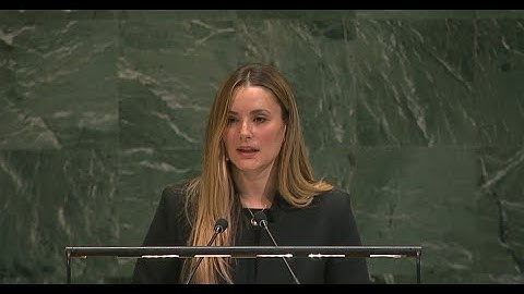 UN High-level Meeting on the overall review of the implementation of the outcomes of WSIS+20