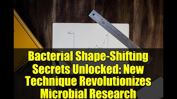 Bacterial Shape-Shifting Secrets Unlocked: New Technique Revolutionizes Microbial Research