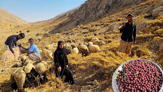 Download Lagu IRAN nomadic life | daily routine village life of Iran | Nomadic lifestyle of Iran MP3 Download Lagu IRAN nomadic life | daily routine village life of Iran | Nomadic lifestyle of Iran MP3