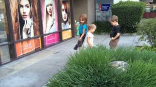 Elsa Goes Against The Grain - 4215