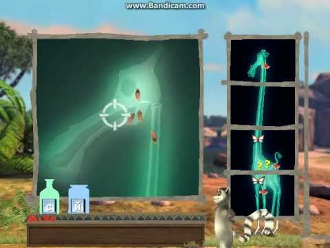 Игры Мадагаскар 1