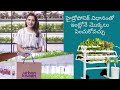 urbankisaan hydroponic at hyderabad/without soil growing 🪴/samantha about farm bowl by urban kisaan