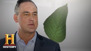 History Presents Behind The Brand Lending Tree