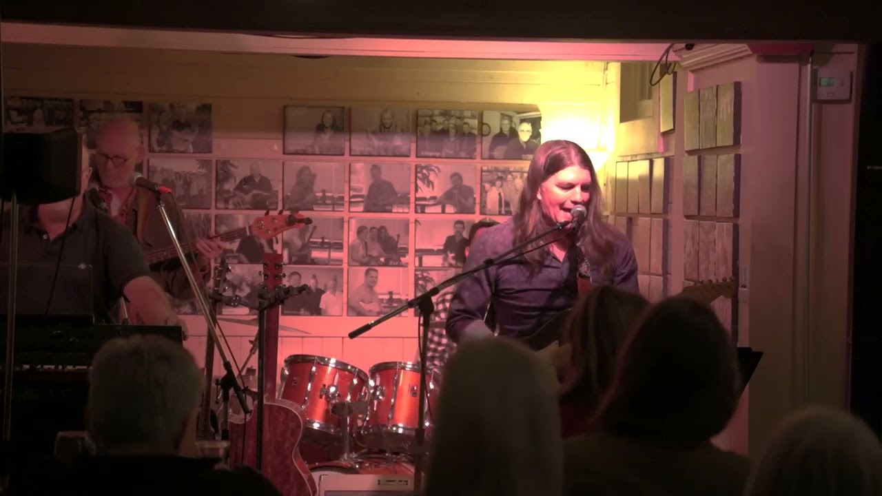 Mark Hildebrand and the Recollectors Live at Porter's Bistro