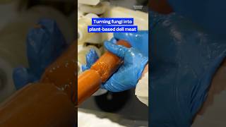 Here's how #fungi is turned into #deli #meat by a #company called Prime Roots.
