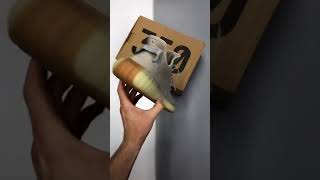Adidas Yeezy Boost 350 V2 Sesame
