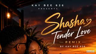 Shasha – Tender Love (Kay Bee 626 Remix) | Soulful Amapiano 2026 