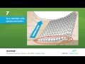 GEOWEB® Geocells Channel Protection with ATRA® Tendon Clips Installation Guide Animation