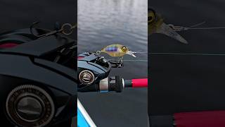 What will Megabass Griffon SR-X BFS Crankbait Fished on BFS catch?