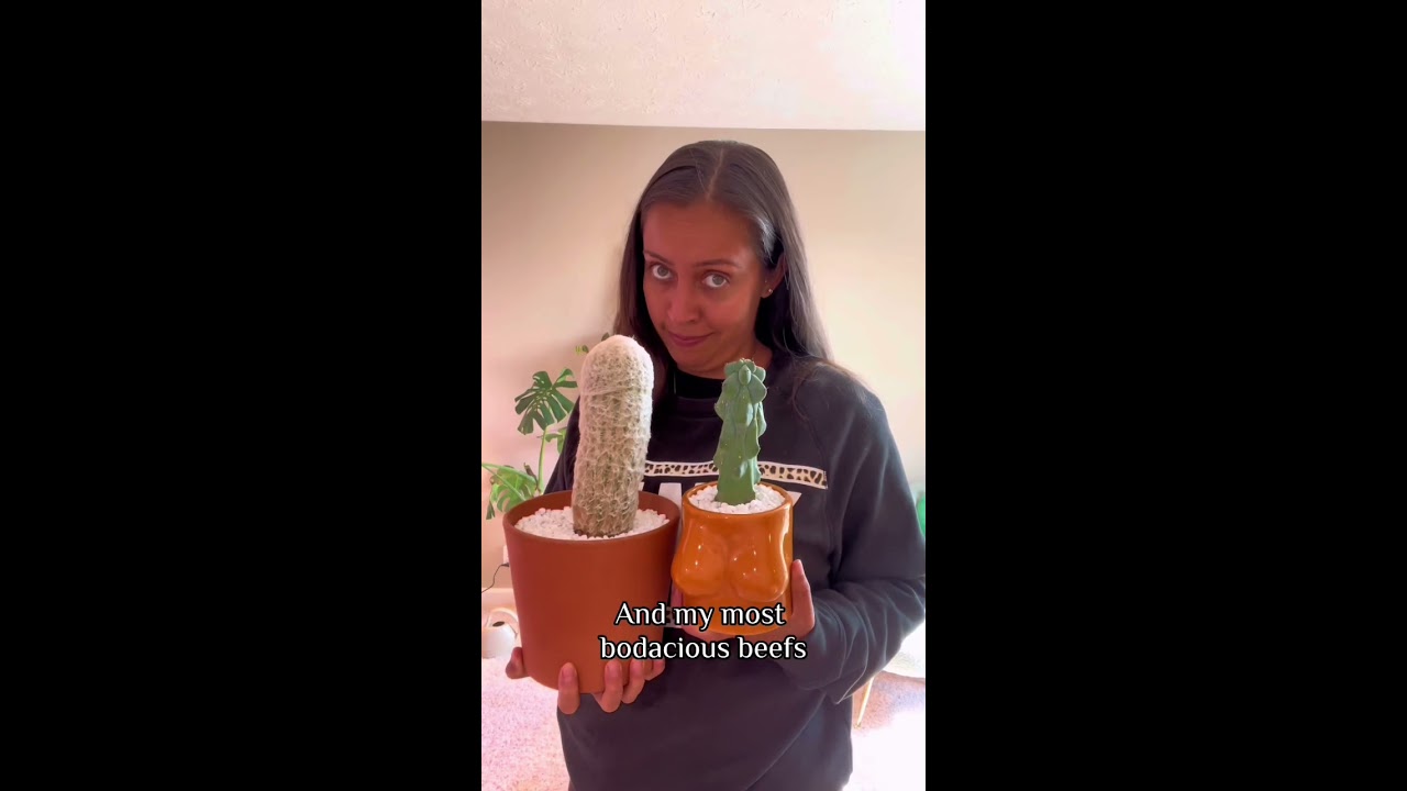 Watering My Cacti Aka The Beefs Cactuslover Loveplants Plantcaretips