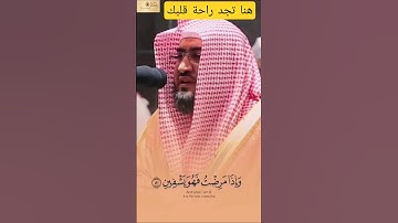 تلاوة تريح القلب 💚 هنا السكينة والراحة - القارئ بندر بليلة - (الذي خلقني فهو يهدين...)