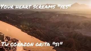 Passenger - Survivors | sub Español /lyrics