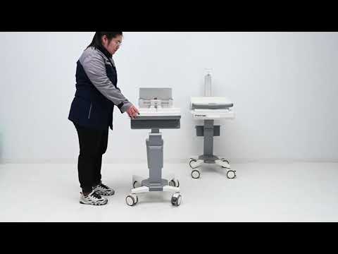 Automotive Computer Cart
