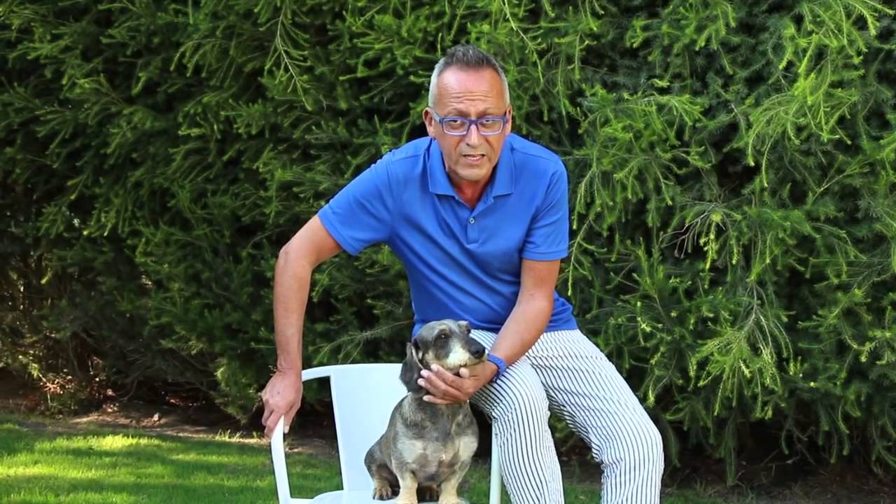 Amigos para sempre